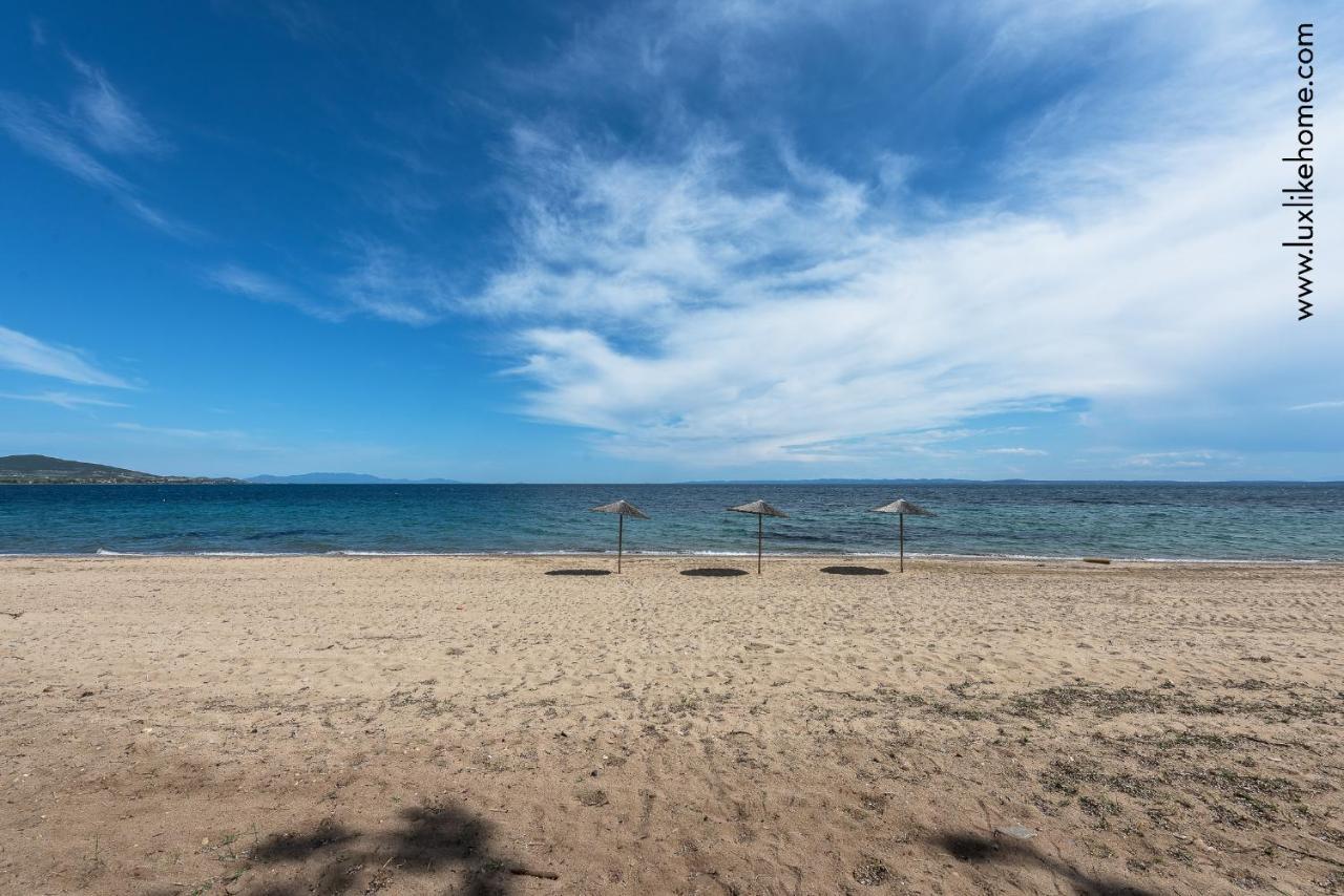 #Luxlikehome - Mediterranee Beachfront Summer House Kalyves Polygyrou Exteriör bild